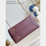 Louis Vuitton Low Key Hobo MM Low Key M12982 Bag