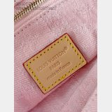 Louis Vuitton Cosmetic Pouch GM M13750 Luxury Bag