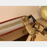Louis Vuitton LV x TM Pochette Accessoires Monogram M13666 Bag