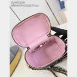 Louis Vuitton AAA+ M25123/M25219 Vanity PM Coussin Women Bag