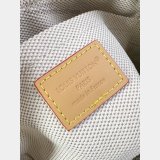 Louis Vuitton Trocadéro Wearable Wallet Monogram M26937 Bags