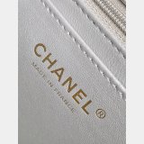 Inspired Metallized AS4797 & AS4795 Mini Flap Bag