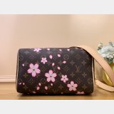 Louis Vuitton 7 Star LV x TM Speedy Bandoulière 25 Monogram M14174 Bag