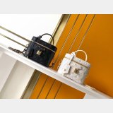 Louis Vuitton Replica M25219 Vanity Pouch Bag