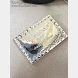 Louis Vuitton Vanity Chain Pouch Other Monogram Canvas LV Ski M26097 Bag