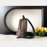 Top Quality Classical Palm Springs Louis Vuitton backpack