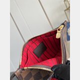 Louis Vuitton Neverfull PM Damier Ebene Canvas Top Quality Bag