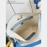 Louis Vuitton Vagabond Hobo Damier Other N00202 Bag