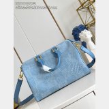 Louis Vuitton Speedy 30 Bandoulière Damier Other N00203 Bag