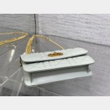 Dior Caro Miss WOC Handbag