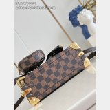 Louis Vuitton 1:1 Mirror Sawagani Trunk N40765 Bag