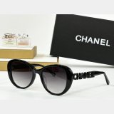 2025 CH 8048 Sunglasses