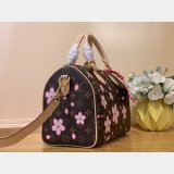 Louis Vuitton 7 Star LV x TM Speedy Bandoulière 25 Monogram M14174 Bag