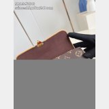 Louis Vuitton Pochette Camille M13566 Luxury Monogram Canvas Brown