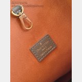 Louis Vuitton Low Key Hobo PM Low Key M15205 Bag