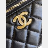 Perfect Fall-Winter 2025/26 Pre-Collection Vanity Chain Shiny AP4804 Bag