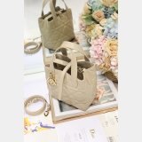 Small/Medium Dior Toujours Vertical Tote Bag