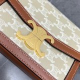 Celine Top Quality Triomphe Teen 18/22CM 188423 Knockoff Bag