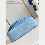 Louis Vuitton Pochette Accessories XL Damier Other N00204 Bag