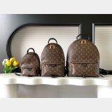 Top Quality Classical Palm Springs Louis Vuitton backpack