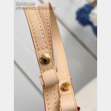 Louis Vuitton Wallet On Chain Ivy Monogram Canvas M15148 Bag