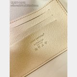 Louis Vuitton LV x TM Wallet Chain Ivy Monogram Multicolor White M27492 Bag