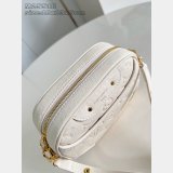Louis Vuitton M25518/M26509 Tiny Camera Designer Bag