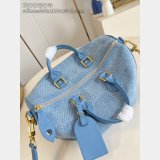 Louis Vuitton Speedy 30 Bandoulière Damier Other N00203 Bag