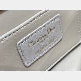 Dior 1:1 Mirror 3112 Anage Chain Handle Replica Bag