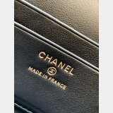 Best AP4936 Grained Shiny Calfskin Vanity Bag