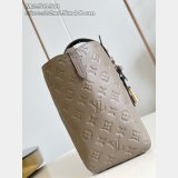 Louis Vuitton All In One PM M25858/M25890 Monogram Empreinte Bag