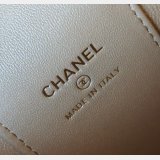 Fashion AP1447/AP2303 Vanity Of The 2024/25 Metiers Bag