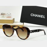 2025 CH 8048 Sunglasses