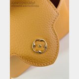 Louis Vuitton Capucines Mini Taurillon M23703 Luxury Bag