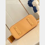 Louis Vuitton All In BB Monogram Canvas M27525 AAA+ Bag