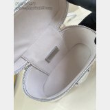 Louis Vuitton Vanity Chain Pouch Other Monogram Canvas LV Ski M26097 Bag