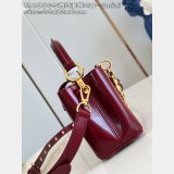 Louis Vuitton Capucines Burgundy Oil Wax M48865 Bag
