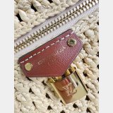 Louis Vuitton Vanity Chain Pouch M14303 Luxury Bags