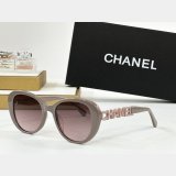 2025 CH 8048 Sunglasses
