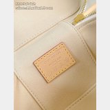 Louis Vuitton Inspired LV x TM Vanity Chain Pouch Monogram Canvas M13662 Bag