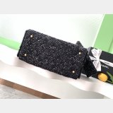 Top Quality CC Hobo AS5293/AS5311 25c Hobo Bag