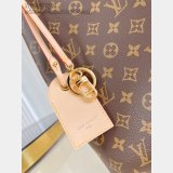 Louis Vuitton Again Monogram Canvas M25877 Handbags