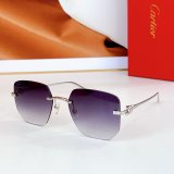 2025 Hot Selling Cartier Sunglasses CT0549S