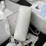 CC 21K Mini CF Handle AS2431 Handbag