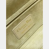 Christian Dior Women's Designer D-Joy 22.5CM Bag