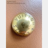 Louis Vuitton New Low Key Hobo PM M25468 Bag