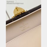 Louis Vuitton Luxury Handle Trunk Monogram M11118 Bag