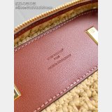 Louis Vuitton Vanity Chain Pouch M14303 Luxury Bags