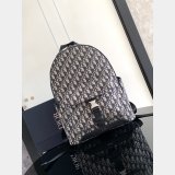 Christian Dior Designer Oblique Backpack 8012 Replica Store Wholesale Cheap Replica Sunglasses 