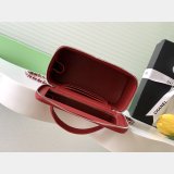 Long Vanity With Chain Luxury Grained Shiny AP4933 Bag